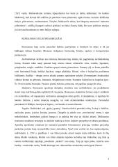 Renesanso estetika ir jos bruožai 8 puslapis