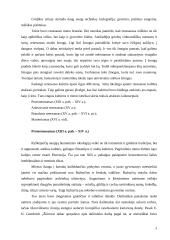 Renesanso estetika ir jos bruožai 9 puslapis