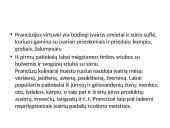 10 populiariausių virtuvių pasaulyje  12 puslapis