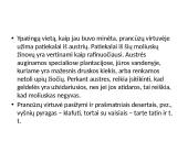 10 populiariausių virtuvių pasaulyje  13 puslapis