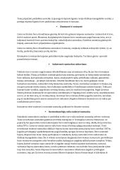 Santuokos sudarymo sąlygos Lietuvos Didžiojoje Kunigaikštystėje (LDK) 3 puslapis