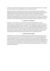 Santuokos sudarymo sąlygos Lietuvos Didžiojoje Kunigaikštystėje (LDK) 6 puslapis