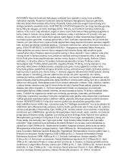 Senosios civilizacijos - visa esminė informacija 3 puslapis