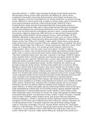 Senosios civilizacijos - visa esminė informacija 4 puslapis