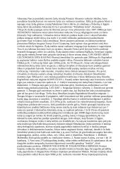 Senosios civilizacijos - visa esminė informacija 5 puslapis