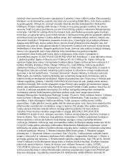 Senosios civilizacijos - visa esminė informacija 6 puslapis