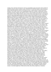 Senosios civilizacijos - visa esminė informacija 7 puslapis