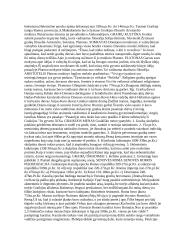 Senosios civilizacijos - visa esminė informacija 8 puslapis