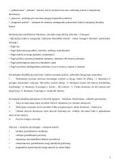 Skaitymo pedagogika 2 puslapis