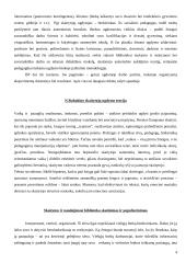 Skaitymo pedagogika 4 puslapis