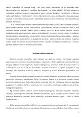 Skaitymo pedagogika 5 puslapis