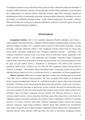 Skaitymo pedagogika 6 puslapis