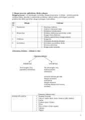 Slaugos procesas 2 puslapis