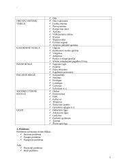 Slaugos procesas 3 puslapis