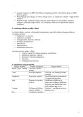 Slaugos procesas 5 puslapis