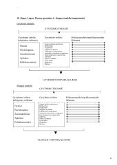 Slaugos procesas 6 puslapis