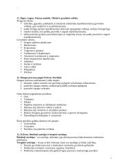 Slaugos procesas 7 puslapis