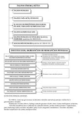 Socialinio sektoriaus organizavimas - teorija 2 puslapis