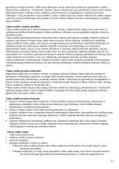 Socialinio sektoriaus organizavimas - teorija 11 puslapis