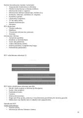 Socialinio sektoriaus organizavimas - teorija 16 puslapis