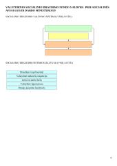 Socialinio sektoriaus organizavimas - teorija 4 puslapis