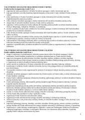 Socialinio sektoriaus organizavimas - teorija 6 puslapis