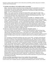 Kontroliniai programinių kūrinių kartojimo klausimai 5 puslapis