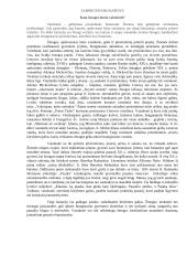 Kam žmogui duota vaizduotė? (Mickevičius, Radauskas)