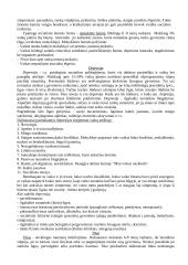 Specialioji pedagogika - paskaitų teorija 11 puslapis