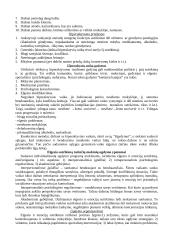 Specialioji pedagogika - paskaitų teorija 15 puslapis