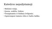 Vincas Mykolaitis-Putinas „Altorių šešėly“ skaidrės 11 puslapis