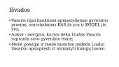 Vincas Mykolaitis-Putinas „Altorių šešėly“ skaidrės 20 puslapis