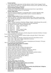 Šaltasis karas (1946-1989) 11 puslapis