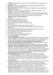 Šaltasis karas (1946-1989) 17 puslapis