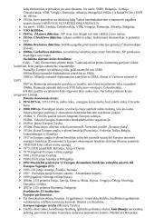 Šaltasis karas (1946-1989) 10 puslapis