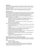 Šeimos samprata psichologijoje 3 puslapis