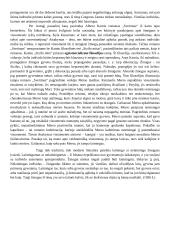 Laimingo ir nelaimingo žmogaus įvaizdis literatūroje 2 puslapis