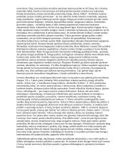 Kūryba gimsta iš kančios (Antanas Škėma, Salomėja Nėris, Balys Sruoga) 2 puslapis