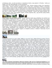 Šiuolaikinės architektūros istorija 19 puslapis