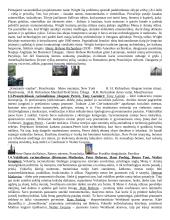 Šiuolaikinės architektūros istorija 3 puslapis