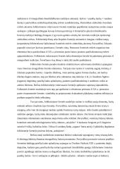 Šiuolaikinis Lietuvos tapsmas 4 puslapis