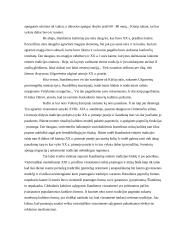 Šiuolaikinis Lietuvos tapsmas 6 puslapis