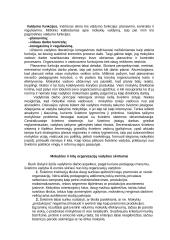 Švietimo vadybos kilmė, vadybos pradininkai 3 puslapis