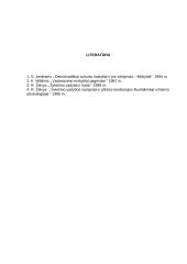 Švietimo vadybos kilmė, vadybos pradininkai 6 puslapis