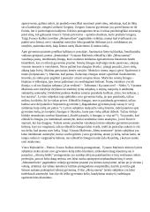 Gyvenimo prasmės paieškos literatūroje (V. M. Putinas, F. Kafka, V. Mačernis) 2 puslapis