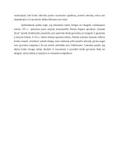 Kitokio žmogaus nei daugelis vaizdavimas literatūroje 4 puslapis