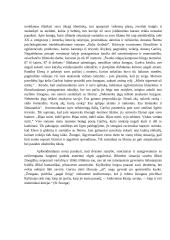 Žmogaus laikysena ribinėse situacijose (B. Sruoga, A. Škėma) 2 puslapis