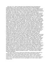 Krikščioniškos pasaulėjautos atspindžiai literatūroje (Vincas Mykolaitis-Putinas, Šatrijos Ragana) 2 puslapis