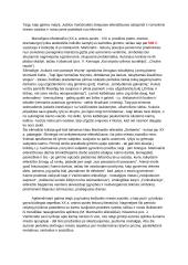 Kaimo ir miesto kultūra lietuvių literatūroje (M. Martinaitis; J. Vaičiūnaitė) 2 puslapis