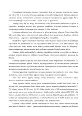 Turano lyguma 2 puslapis